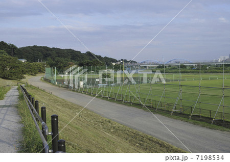 多摩川堤通り 7198534