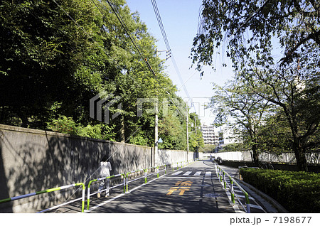 神田川沿いの道 7198677