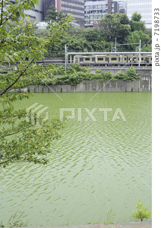 中央線 中央線 7198733