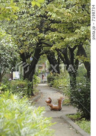 遊歩道 遊歩道 7198734