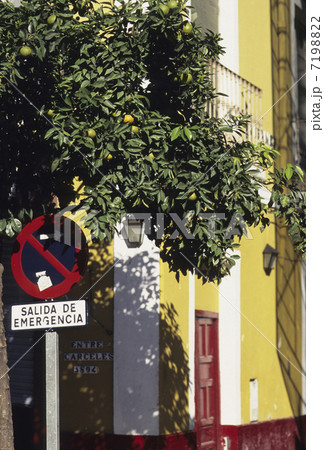 街角の黄色い壁 7198822