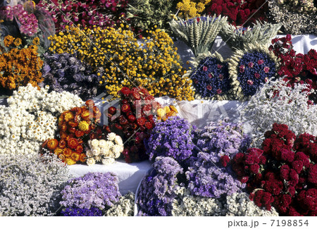 ハーブの花束 ハーブの花束 7198854