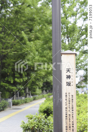 柿の木坂通りの天神坂 7199053