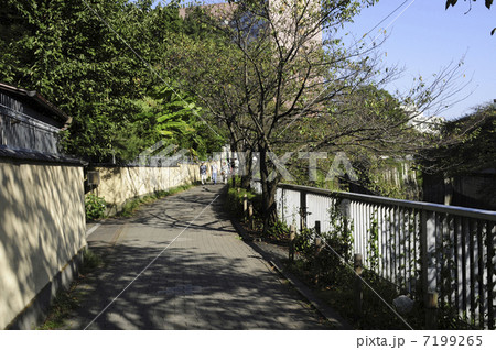 神田川沿いの土塀 7199265