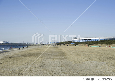 幕張の浜 幕張の浜 7199295
