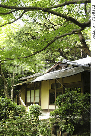 東京都庭園美術館庭園の茶室 7199322