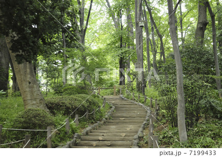 有栖川記念公園 有栖川記念公園 7199433