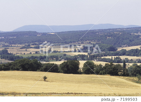 山間の高原 7199503