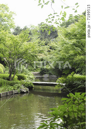 池田山公園の森林と池 7199515