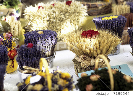 ハーブの土産物 ハーブの土産物 7199544