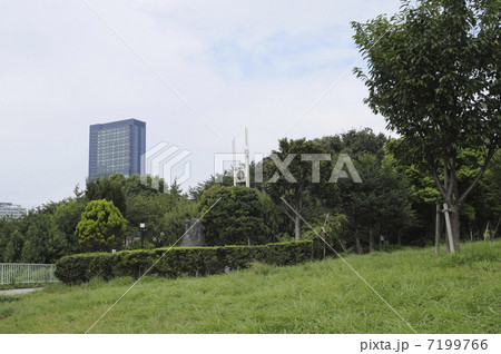 西郷山公園 7199766