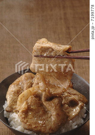 豚丼 豚丼 7199778