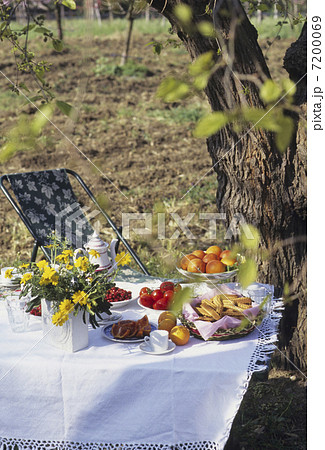食卓のフルーツ 7200069