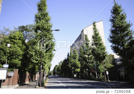 目白通り（日本女子大近辺） 7200208