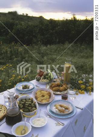 野外の食卓 7200331