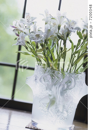 生け花 生け花 7200348