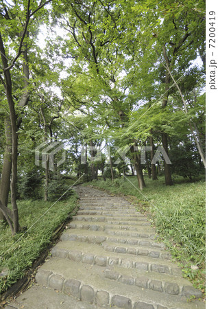 宝来公園 7200419