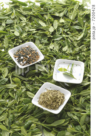 茶葉 茶葉 7200428