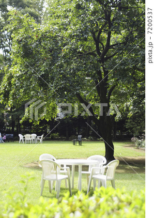 庭園の白いテーブル 7200537