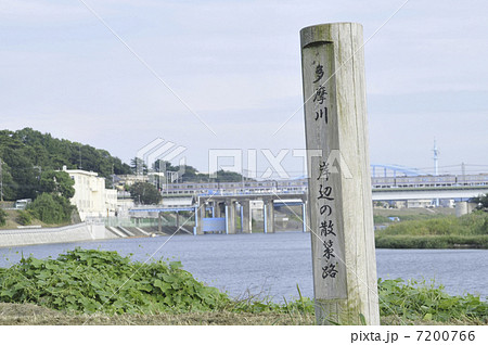 多摩川堤通り 7200766
