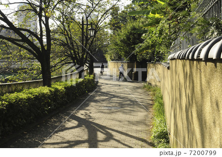 神田川沿いの土塀 7200799