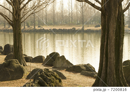 池のある風景 7200816