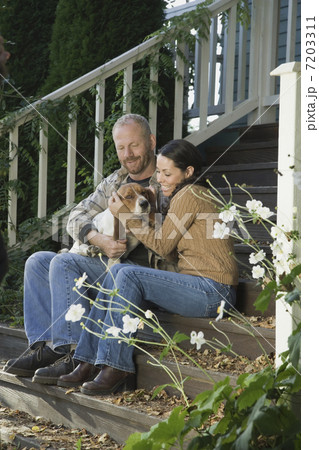 BLD033038 BLD033038 7203311