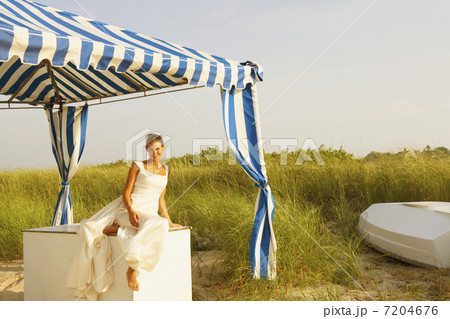 BLD037246 BLD037246 7204676