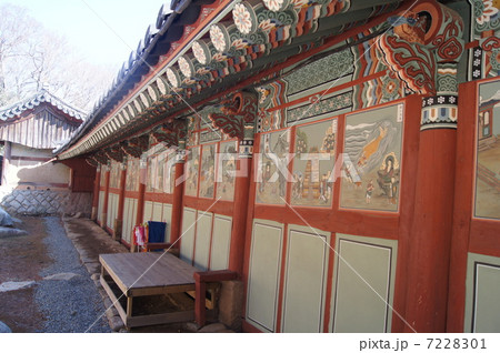 釜山の梵魚寺 7228301