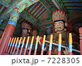 釜山の梵魚寺 7228305