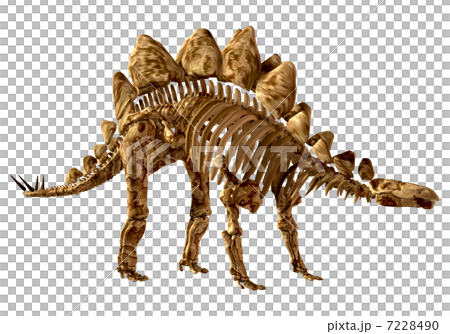 Stegosaur Bone ☆ Stegosaurus Stegosaur Bone ☆ Stegosaurus 7228490