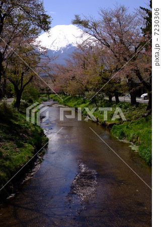 世界文化遺産・富士山、忍野村にて 7230306