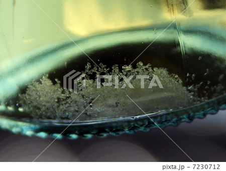 酒石 酒石 7230712