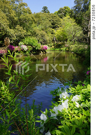 萬葉植物園 7230856