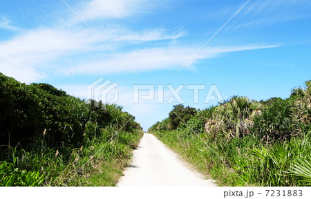 空と緑と道 空と緑と道 7231883