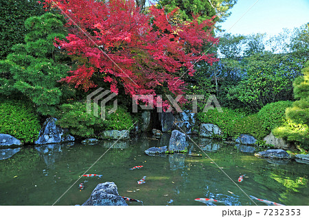 京都 城南宮の秋 室町の庭 京都 城南宮の秋 室町の庭 7232353