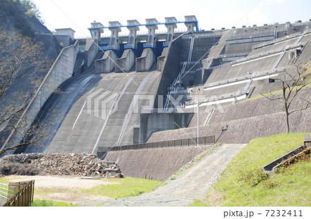 ダムの流木 7232411