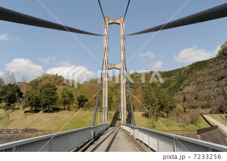 橋の吊ワイヤー 橋の吊ワイヤー 7233256