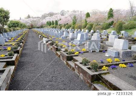 春の霊園 7233326