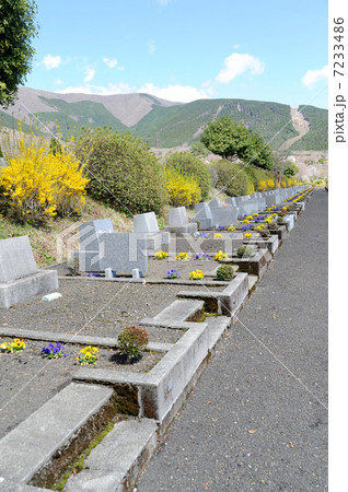 春の霊園 春の霊園 7233486