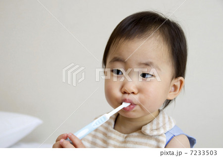 歯ブラシ 歯ブラシ 7233503