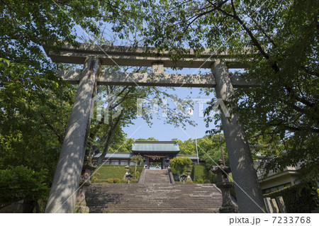 長崎　諏訪神社の参道 7233768