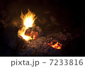 薪の火 7233816