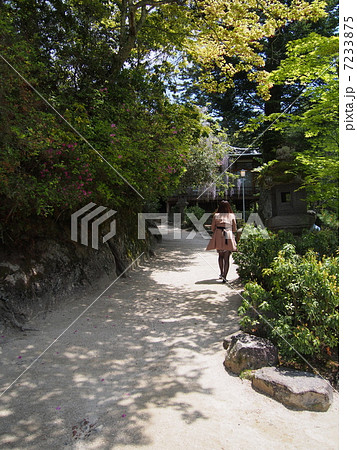 ひとり散策 7233875
