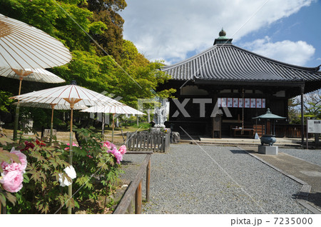 京都 春の乙訓寺 京都 春の乙訓寺 7235000