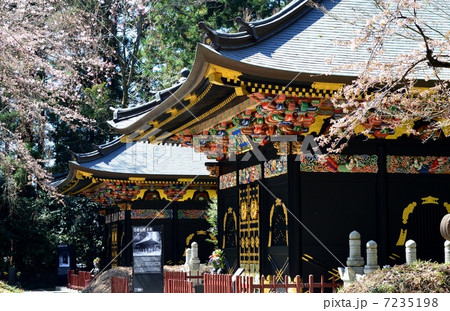 感仙殿の春 7235198