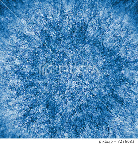 macro X-ray shot of fuzzy mold 7236033