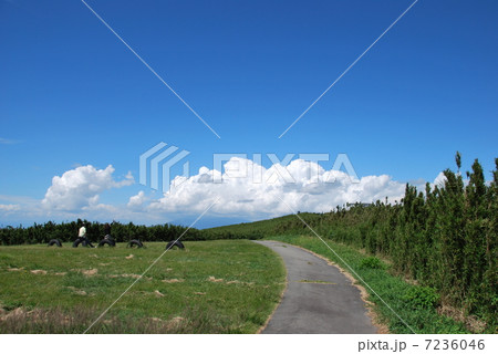 風景 7236046