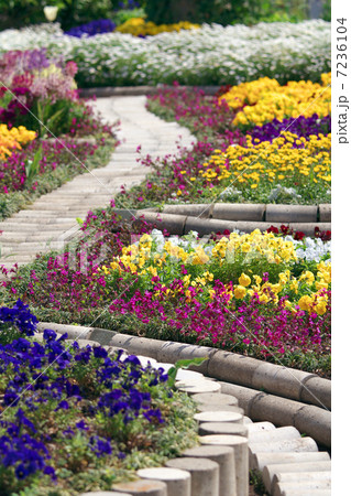 カラフルな春色の花壇 7236104