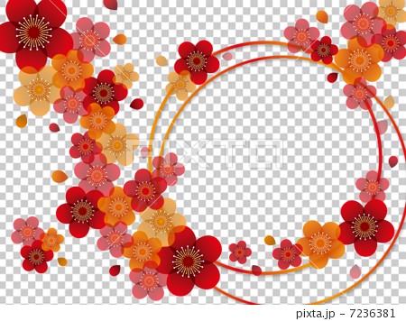 梅の花 01 横 白背景 赤 オレンジのイラスト素材